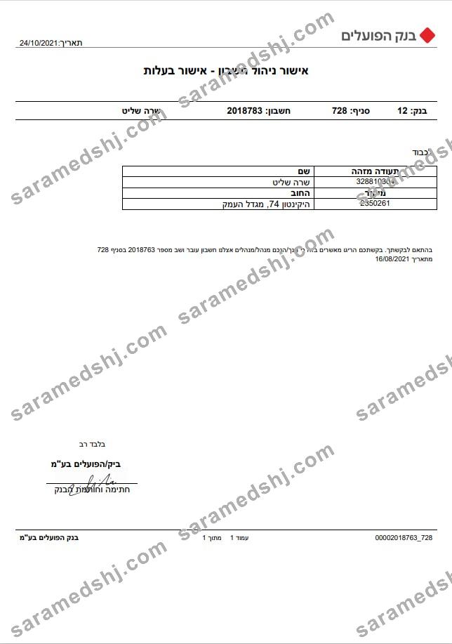 Israel Bank of Hapoalim account management – ownership certificate template in Word and PDF format